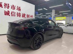 Tesla Model Y Standard Range RWD - ფოტო 6