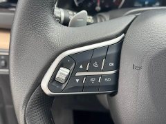 Haval H6 2020 1.5L GDIT Automatic Platinum Champion Edition - ფოტო 14