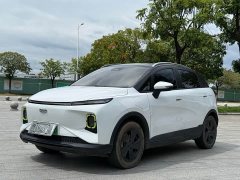 Geely Geometry E Firefly 401KM Thunder Tiger 4-Seater - ფოტო 1
