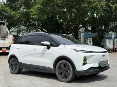 Geely Geometry E Firefly 401KM Thunder Tiger 4-Seater - ფოტო 3