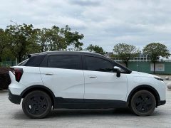 Geely Geometry E Firefly 401KM Thunder Tiger 4-Seater - ფოტო 9