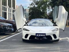 McLaren GT 4.0T Standard - ფოტო 2