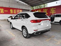 Haval M6 PLUS 1.5T Manual Luxury Smart Connected Edition - ფოტო 10