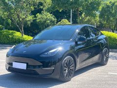 Tesla Model Y Standard Range RWD - ფოტო 1