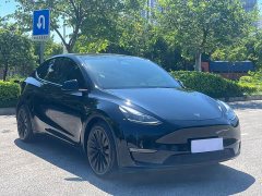 Tesla Model Y Standard Range RWD - ფოტო 3