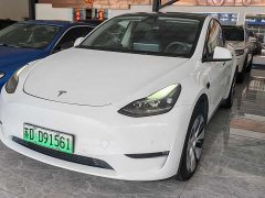 Tesla Model Y Standard Range RWD - ფოტო 1