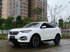 Great Wall WEY VV6 2.0T Two-Wheel Drive Smart Protection - ფოტო 1