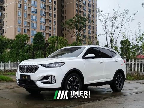 2021 Great Wall WEY VV6 2.0T Two-Wheel Drive Smart Protection - ავტომობილი ჩინეთიდან