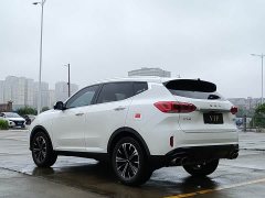 Great Wall WEY VV6 2.0T Two-Wheel Drive Smart Protection - ფოტო 16