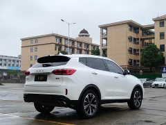 Great Wall WEY VV6 2.0T Two-Wheel Drive Smart Protection - ფოტო 18