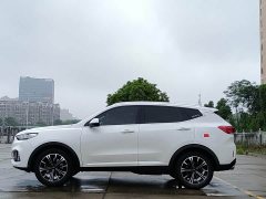 Great Wall WEY VV6 2.0T Two-Wheel Drive Smart Protection - ფოტო 19
