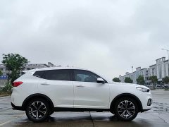 Great Wall WEY VV6 2.0T Two-Wheel Drive Smart Protection - ფოტო 20