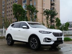 Great Wall WEY VV6 2.0T Two-Wheel Drive Smart Protection - ფოტო 3