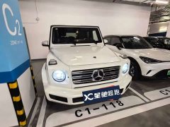 Mercedes-Benz G-Class G 350 - ფოტო 1
