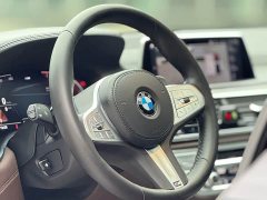 BMW 7 Series 740Li Premier M Sport Package - ფოტო 7