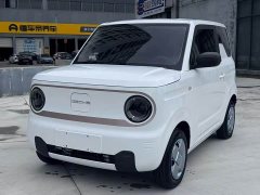Geely Panda Mini 200km Endurance Edition - ფოტო 1