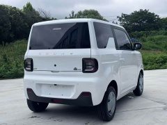 Geely Panda Mini 200km Endurance Edition - ფოტო 4