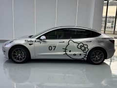 Tesla Model 3 2022 Rear-Wheel Drive - ფოტო 10