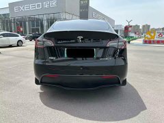 Tesla Model Y Rear-Wheel Drive - ფოტო 7