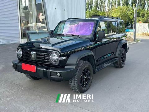 2025 Tank 300 New Energy Hi4-T 37.1kWh - ავტომობილი ჩინეთიდან