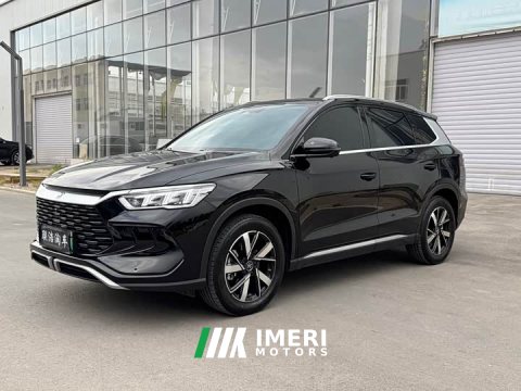 2024 BYD Song Pro New Energy 2023 Champion Edition DM-i 110KM Excellence - ავტომობილი ჩინეთიდან