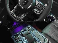 Tank 300 2021 Off-Road Edition 2.0T Conqueror - ფოტო 8
