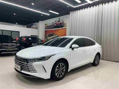 BYD Destroyer 05 Glory Edition DM-i 55KM Luxury - ფოტო 1