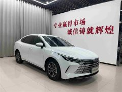 BYD Destroyer 05 Glory Edition DM-i 55KM Luxury - ფოტო 3