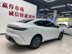 BYD Destroyer 05 Glory Edition DM-i 55KM Luxury - ფოტო 6