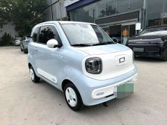 FAW Besturn Xiaoma 222km Dynamic Edition - ფოტო 3