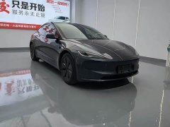 Tesla Model 3 Rear-Wheel Drive - ფოტო 3
