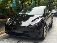 Tesla Model Y Standard Range RWD - ფოტო 1