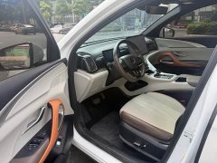 BYD Song Pro New Energy New Energy 2022 DM-i 110km Flagship - ფოტო 7
