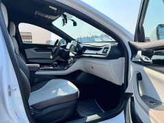 BYD Qin PLUS 2023 Champion Edition DM-i 55KM Leading - ფოტო 6