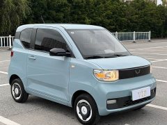Wuling Hongguang MINIEV 2022 Zizai Trim Ternary Lithium Battery - ფოტო 3