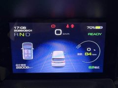 Wuling Hongguang MINIEV 2022 Zizai Trim Ternary Lithium Battery - ფოტო 9