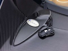 Tesla Huayra 6.0L - ფოტო 11