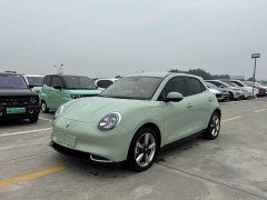 ORA Good Cat 401km Standard Range Luxury LFP - ფოტო 1