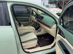 ORA Good Cat 401km Standard Range Luxury LFP - ფოტო 10
