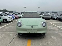ORA Good Cat 401km Standard Range Luxury LFP - ფოტო 2