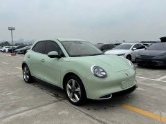 ORA Good Cat 401km Standard Range Luxury LFP - ფოტო 3