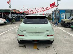 ORA Good Cat 401km Standard Range Luxury LFP - ფოტო 6