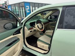 ORA Good Cat 401km Standard Range Luxury LFP - ფოტო 7