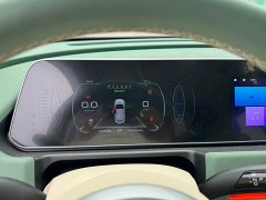 ORA Good Cat 401km Standard Range Luxury LFP - ფოტო 8
