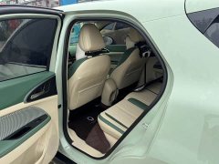 ORA Good Cat 401km Standard Range Luxury LFP - ფოტო 9