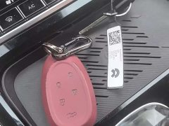 Ruifeng RF8 PHEV Edition 1.5T 150KM Flagship Version - ფოტო 4