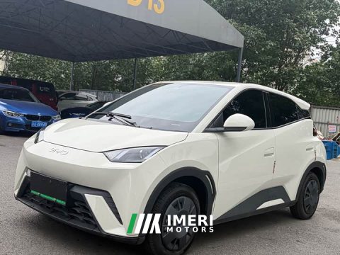 2025 BYD Seagull 305km Vitality Edition - ავტომობილი ჩინეთიდან