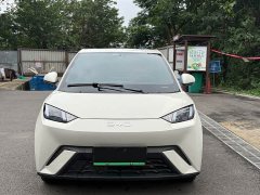 BYD Seagull 305km Vitality Edition - ფოტო 2