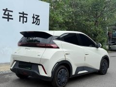 BYD Seagull 305km Vitality Edition - ფოტო 7