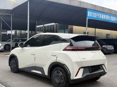BYD Seagull 305km Vitality Edition - ფოტო 9